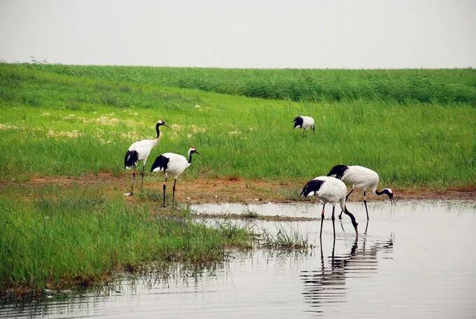 【深度大兴安岭】玩转：漠河北极村、龙江第‬一湾、五大连池，纯玩6天！0自费0购物！