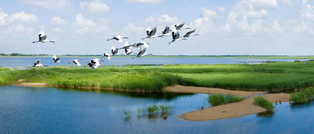 【深度大兴安岭】玩转：漠河北极村、龙江第‬一湾、五大连池，纯玩6天！0自费0购物！