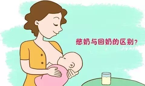 憋奶与回奶的区别