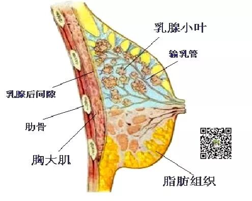 残奶不排 有何危害 ？