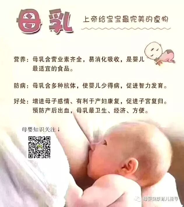 催乳的功效只是下奶？没那么简单，还有这么多你不知道的好处..