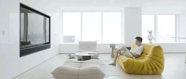 洁癖小哥的200㎡独居豪宅：智能控制家里一切，连狗都是电子的