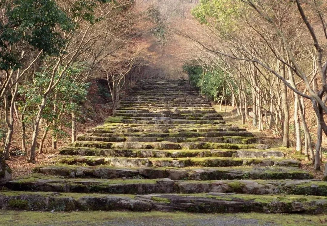 Kerry Hill遺作，京都安縵來了！ 家居 第8張