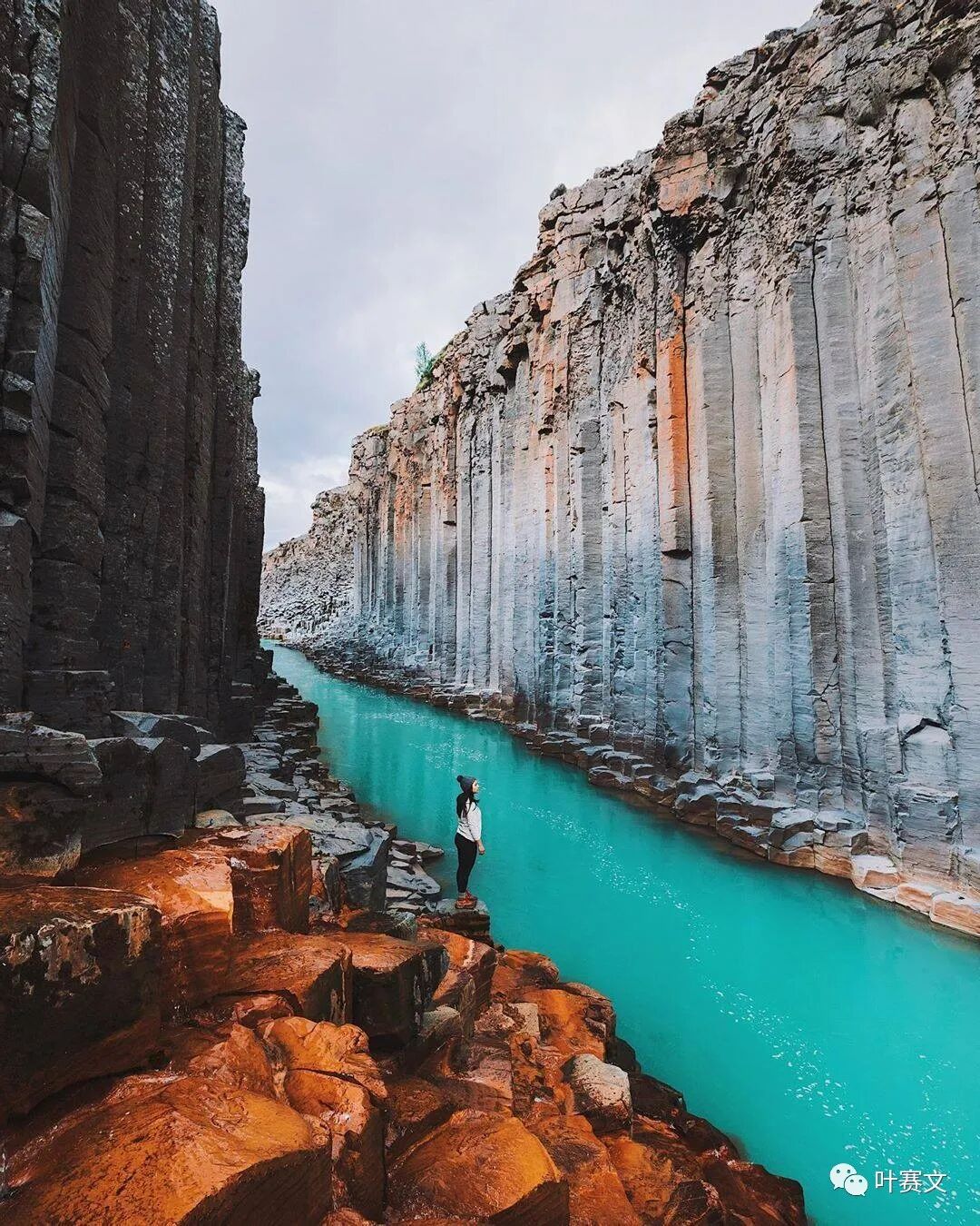 AI 辅助决策工具