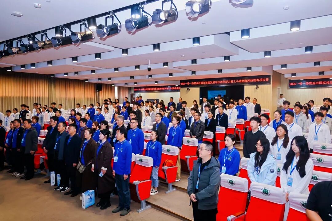 2025一带一路暨金砖国家技能发展与技术创新大赛小动物临床技能赛项决赛