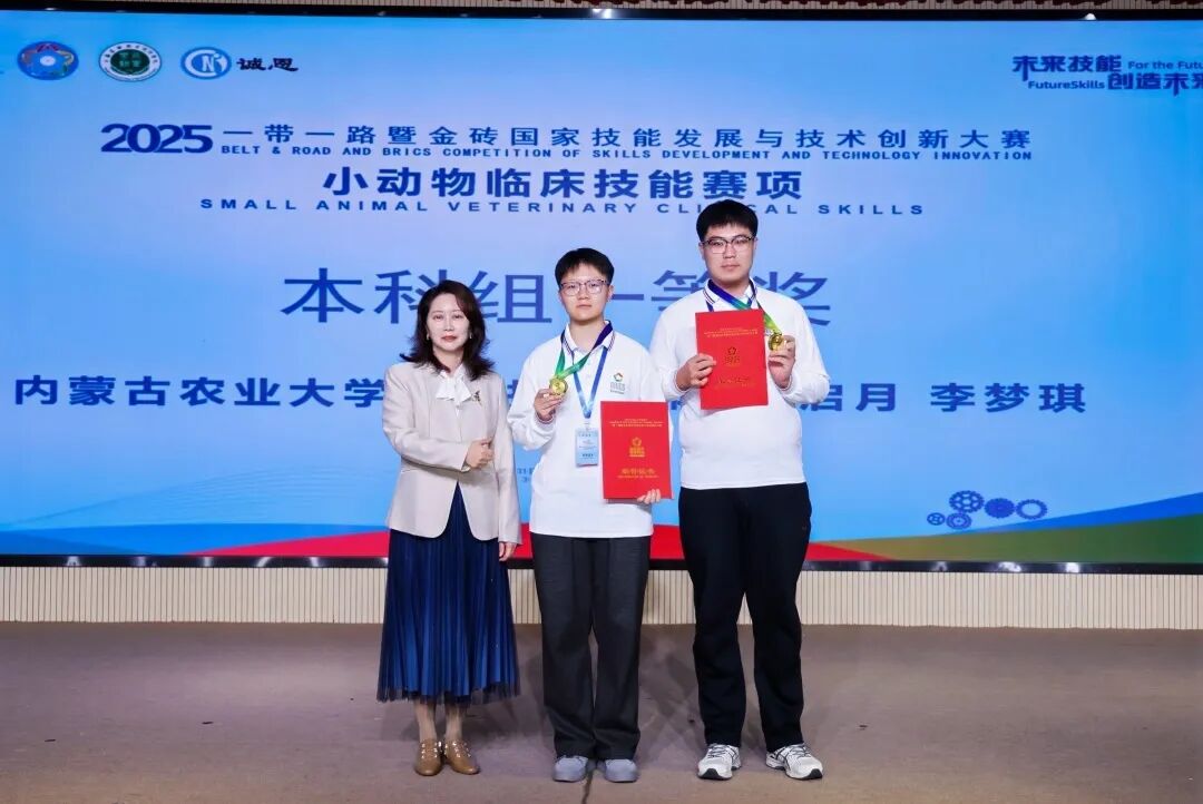 2025一带一路暨金砖国家技能发展与技术创新大赛小动物临床技能赛项决赛