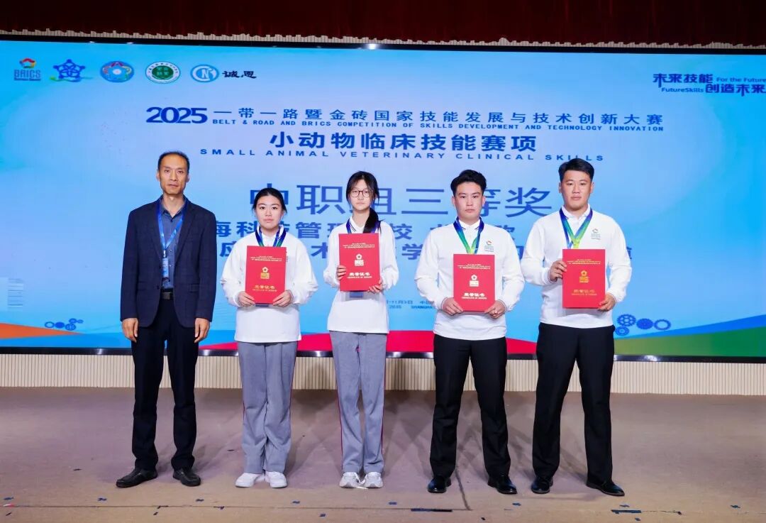 2025一带一路暨金砖国家技能发展与技术创新大赛小动物临床技能赛项决赛