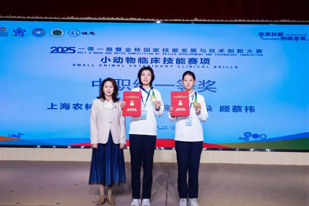 2025一带一路暨金砖国家技能发展与技术创新大赛小动物临床技能赛项决赛