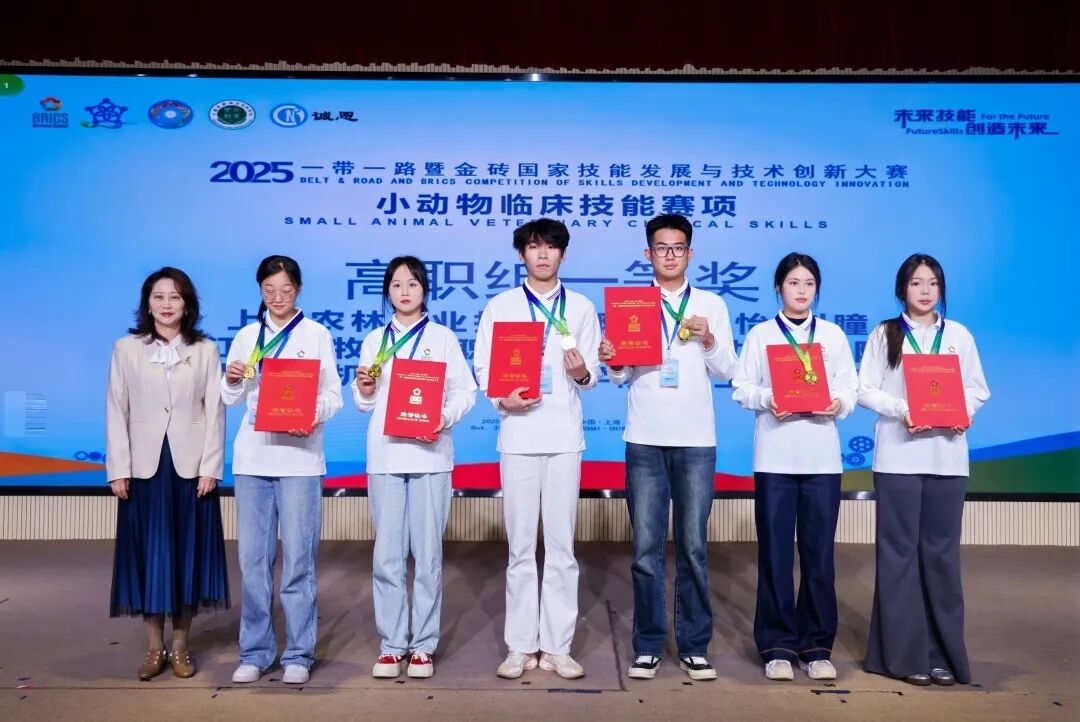 2025一带一路暨金砖国家技能发展与技术创新大赛小动物临床技能赛项决赛