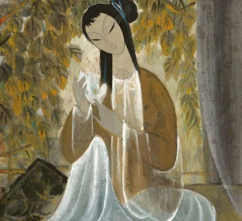 圖片