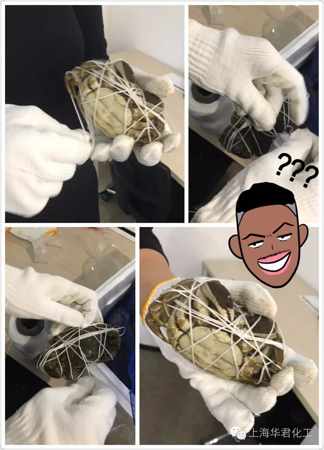 螃蟹,你往哪里跑!