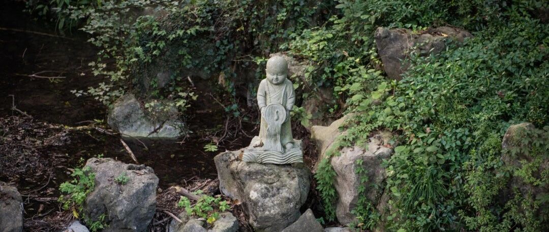 灵隐寺又招人了！不用出家KPI随缘，网友：我真的可以……