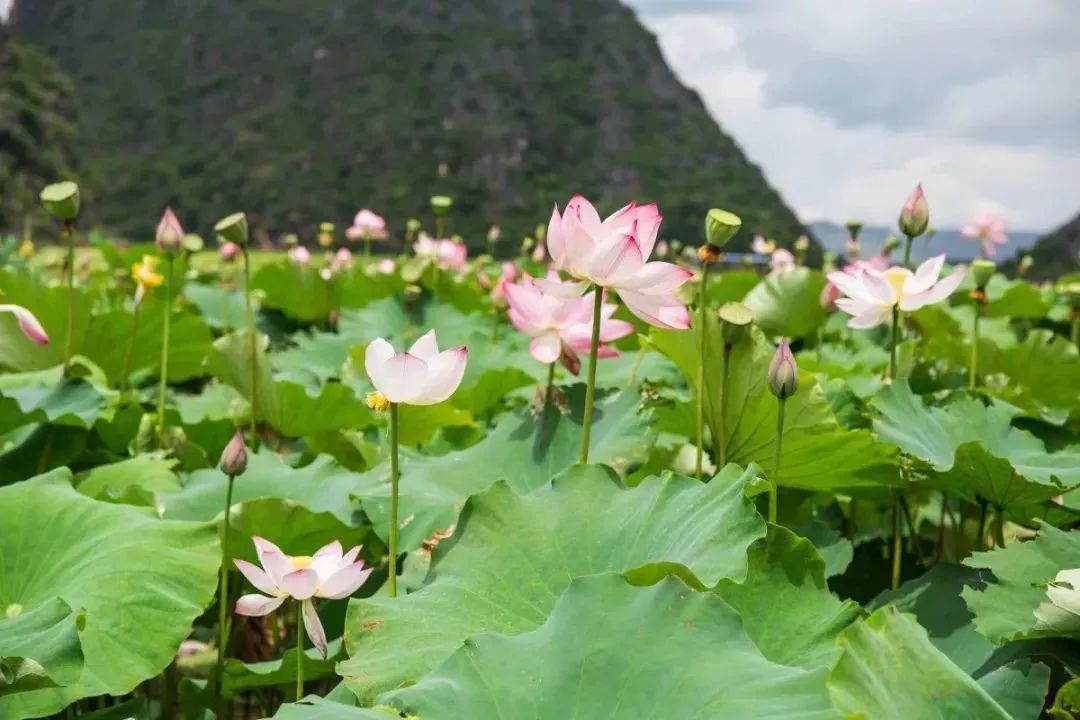 2019年最佳旅行時間表，在對的時間看對的風景！ 未分類 第31張