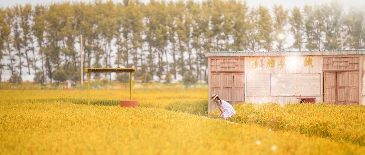 《我和我的家乡》取景地美哭全世界，比剧情更上头!