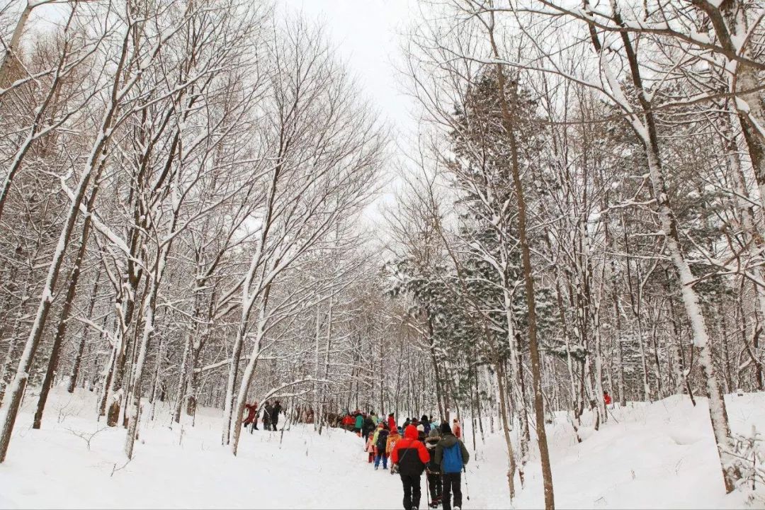 曾經宰客的雪鄉，今年只要880就能玩三天？ 旅遊 第5張