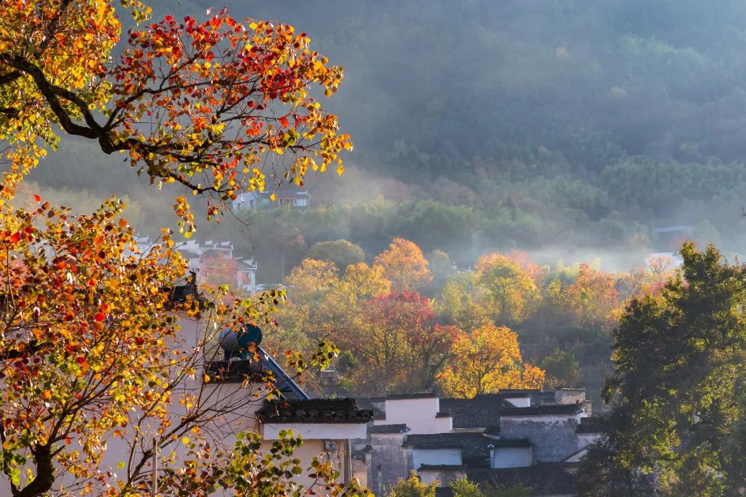 跨省遊恢復！下半年旅行時間表看這篇就夠了！ 旅遊 第15張