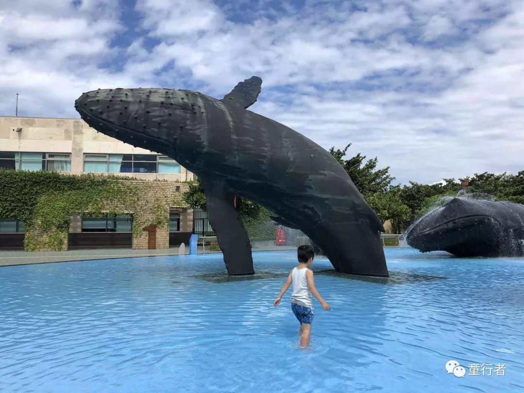 【台灣民宿推薦聯盟選文】台灣丨一次旅行，感受四個台灣 旅行 第21張