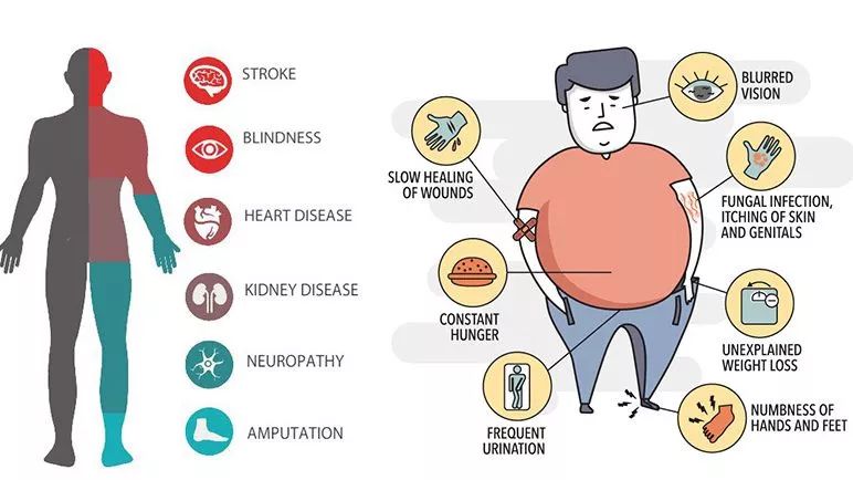 糖尿病為什麼那麼難纏 健康 第8張