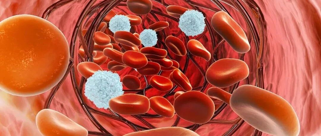 我国成年人十个人中有4个血脂异常，你的血脂还好吗？