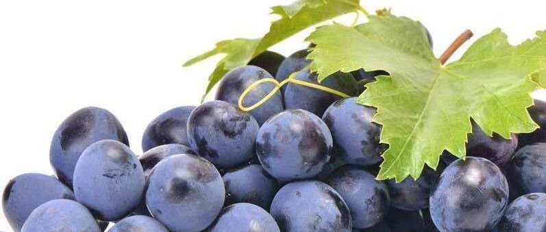 喝下自酿葡萄酒后竟然失明了！你还敢喝吗？