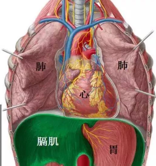 打嗝停不下來？警惕中風和胃腸道疾病！ 健康 第3張