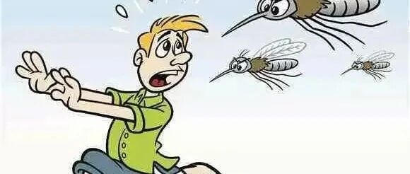 在蚊子肆虐的日子里，可怕的不是被叮咬后的“红包”，而是蚊子传播的疾病！