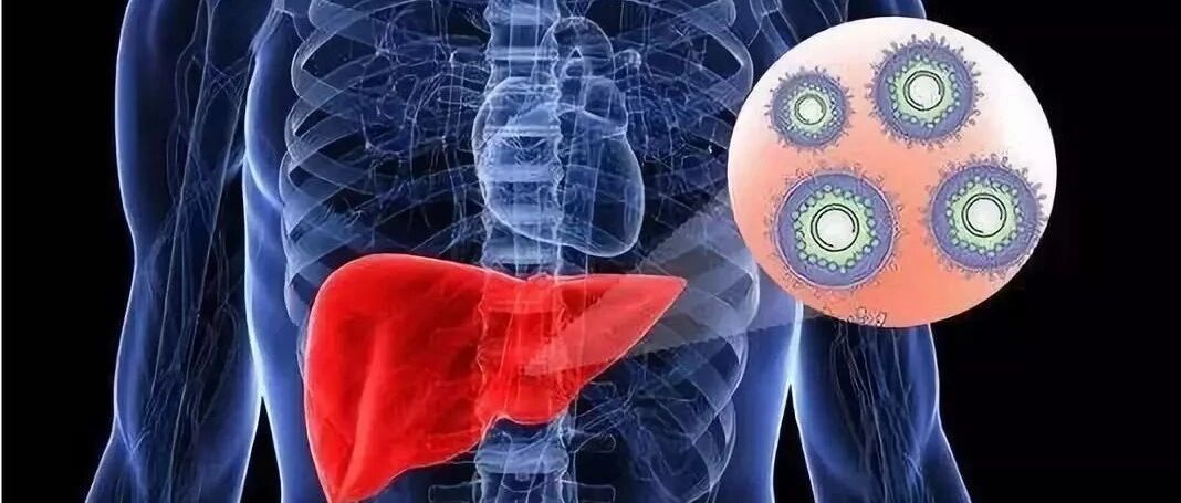 乙肝两对半检测中有阳性结果，是不是意味着得了乙肝？