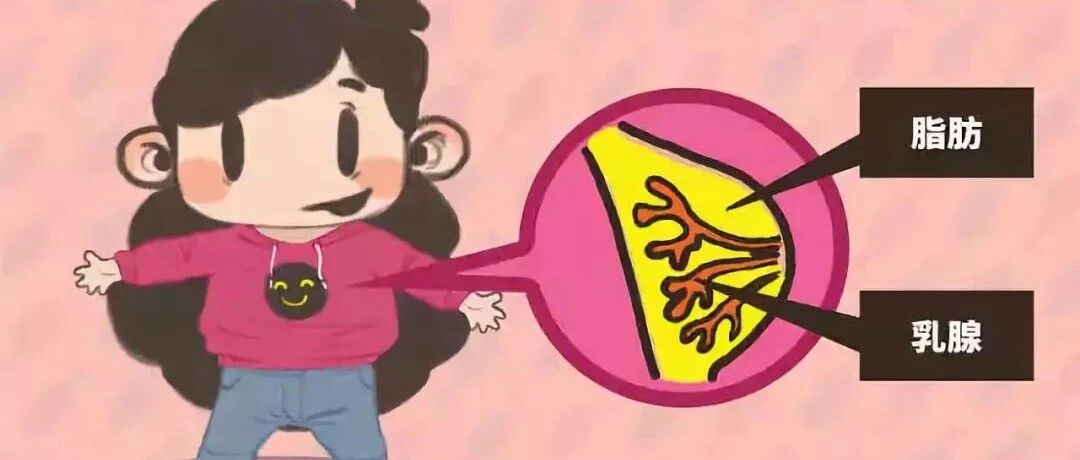 乳房按摩，是不是能够丰胸散结？