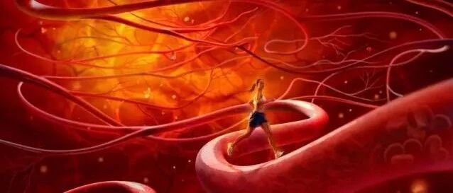 有的人活着，血管已经硬化了......