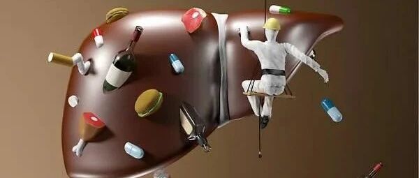 是药三分毒，乱吃药会让这个脏器不堪重负！