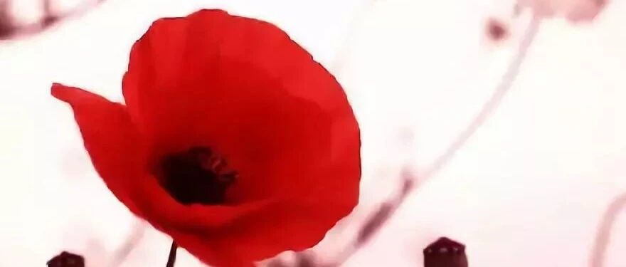 无痛人流是不是“无痛”、“无损伤”？