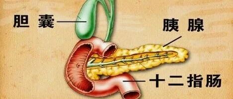 胡吃海喝，胰腺不干了