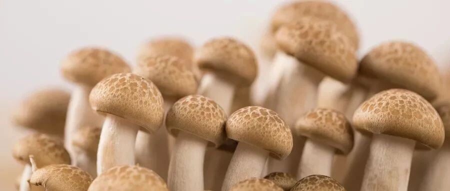 【防病口诀】防癌、降脂、控糖，只要记住这一串顺口溜！