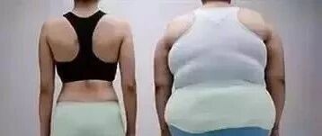 【中医保健】湿气重容易致病