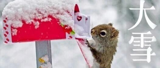 【节气】大雪养生：吃三肉、煲三汤、熬三粥、防三病