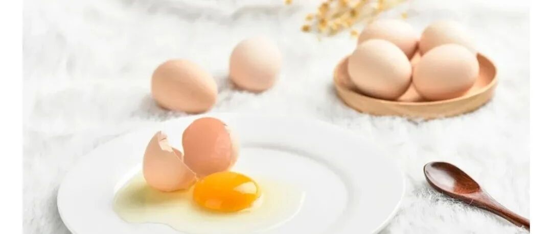 【科普】胆固醇都是“坏蛋”吗？别再跟胆固醇较劲了