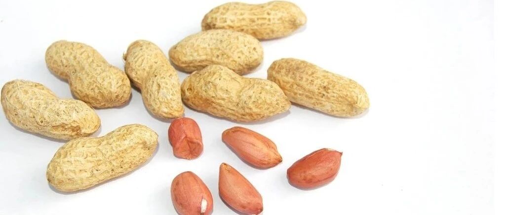 【食疗保健】它是人间“长寿果”~每天10颗，胜过无数补药！但千万不能这样吃~