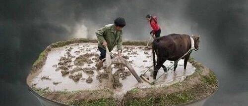 【健康知识】拒绝“舌尖上的浪费”！我们倡议，做到这32字！