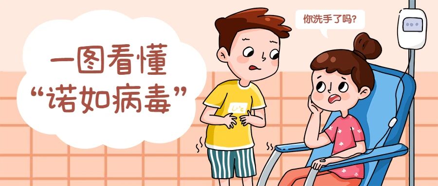 【健康科普】一图读懂让你患上急性胃肠炎的“诺如病毒”！