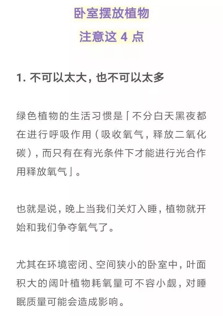 【健康家居】擺放臥室的植物，該怎麼挑選呢？ 健康 第3張