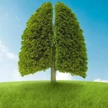 【养生保健】秋末冬初养好肺，感冒咳喘少缠身