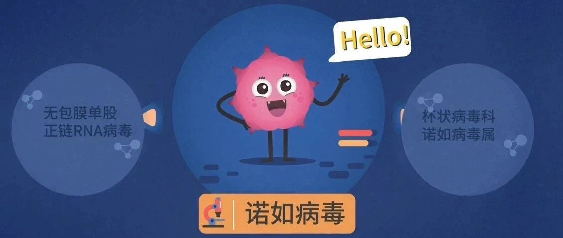 【疾病预防】校园防诺如——史上最全呕吐物处理指引来了！