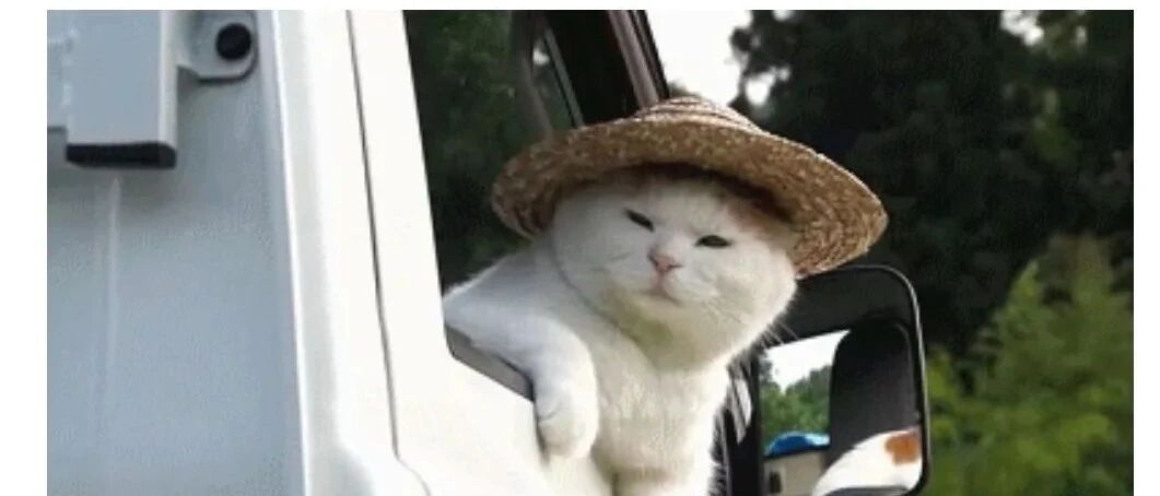 【健康科普】一个动作让车内污染增80%——来自老司机的「车内通风」攻略