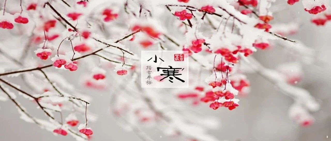 【节气养生】一年中最冷的日子——小寒养生你要知道这些……