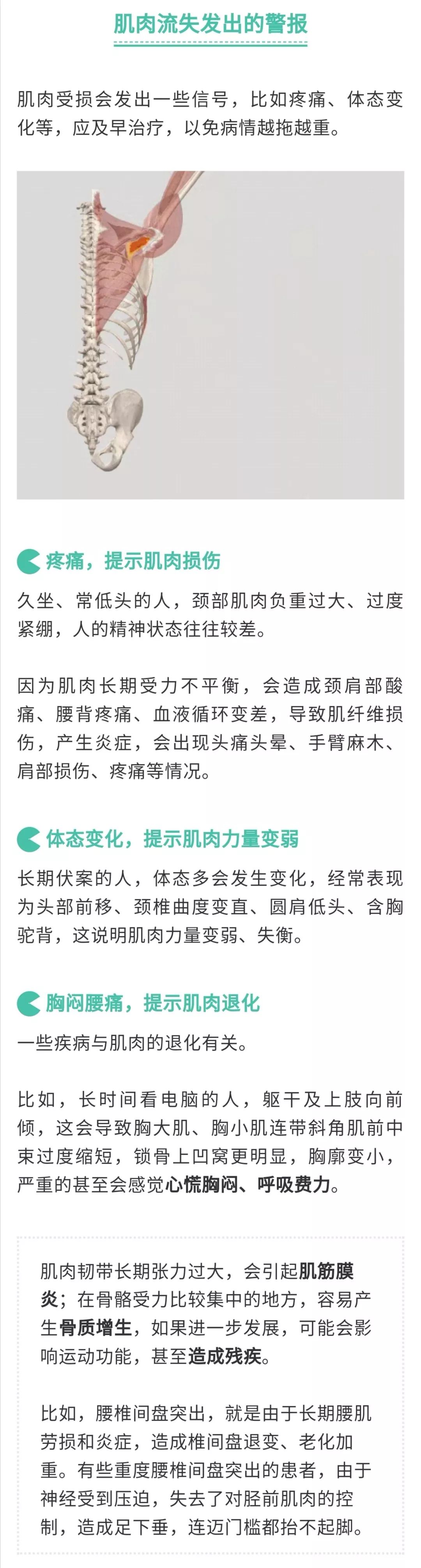 【健康生活方式】肌肉「休眠」已成全球流行病！醫生推薦4個動作激活它 健康 第3張