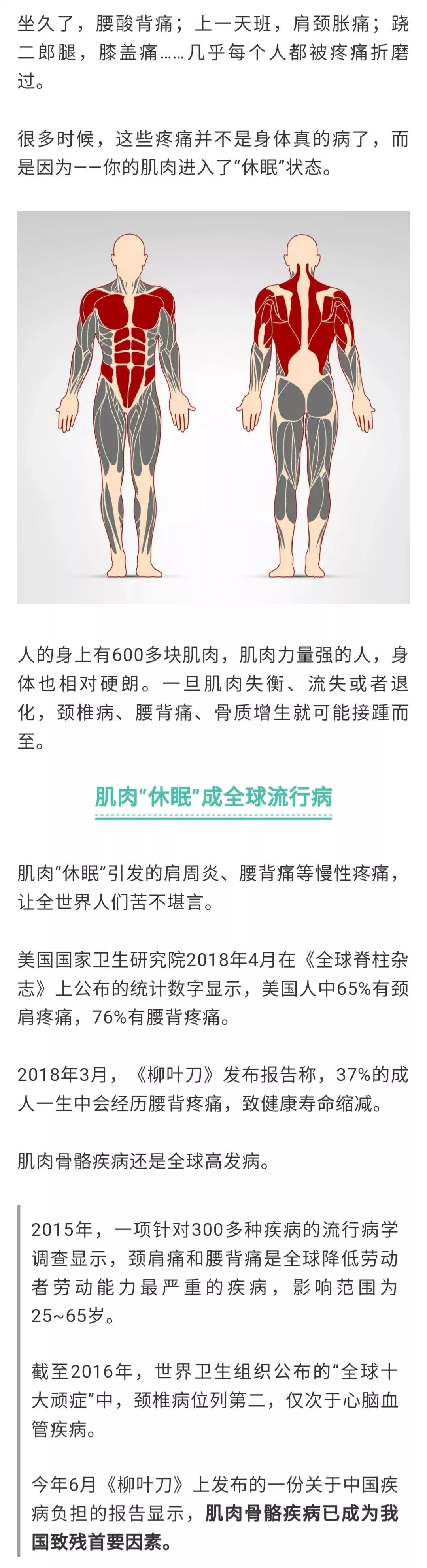 【健康生活方式】肌肉「休眠」已成全球流行病！醫生推薦4個動作激活它 健康 第2張