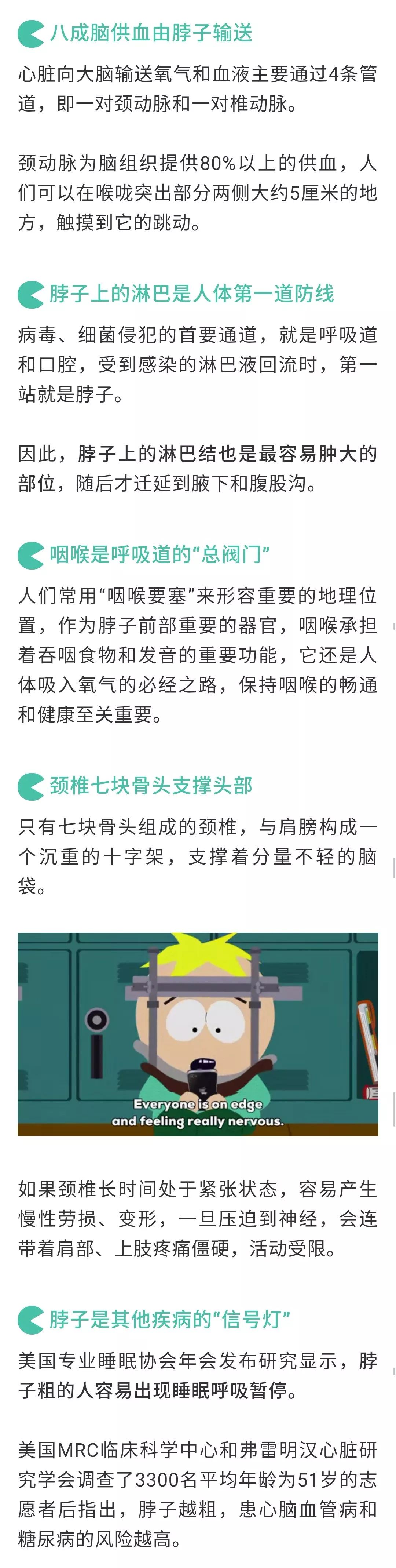 【健康預警】脖子是頭痛的「隱形開關」，這樣護頸不再連累其他器官 健康 第3張