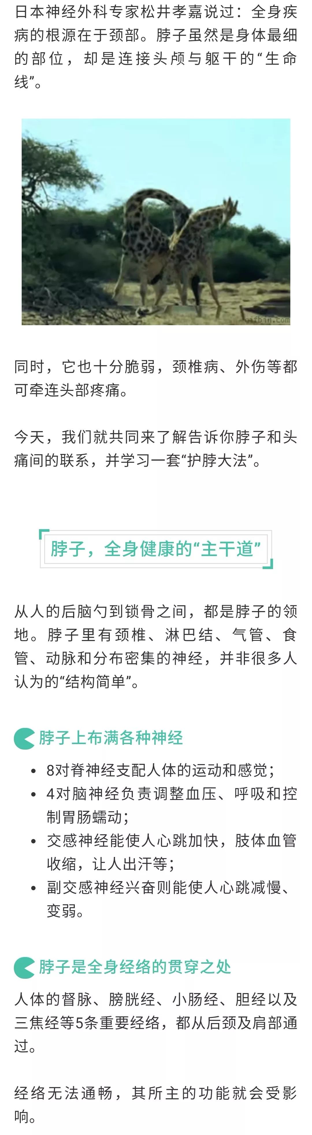 【健康預警】脖子是頭痛的「隱形開關」，這樣護頸不再連累其他器官 健康 第2張