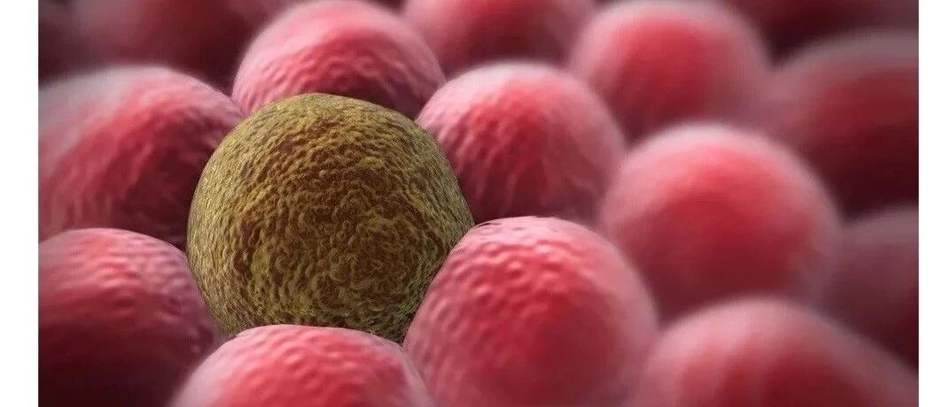 【癌症防治】多国研究表明：肿瘤爱找20种职业，原来“职业癌”不是骗人的