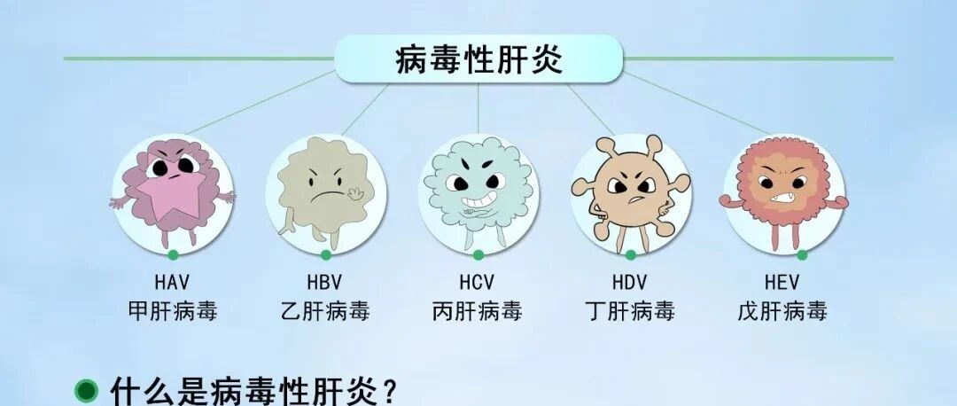 【世界肝炎日】病毒性肝炎防控知识